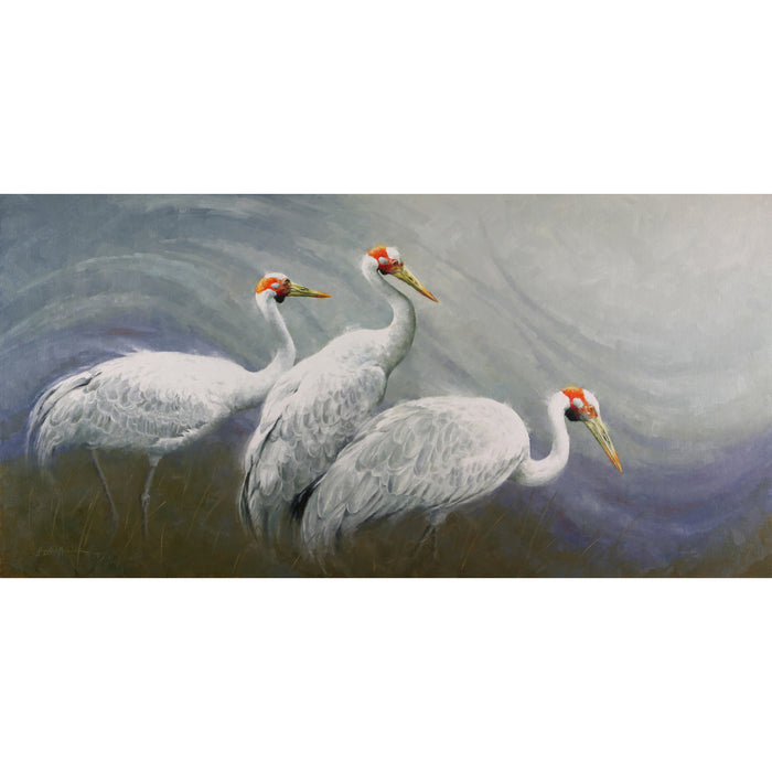 Brolgallivanting ~ Print