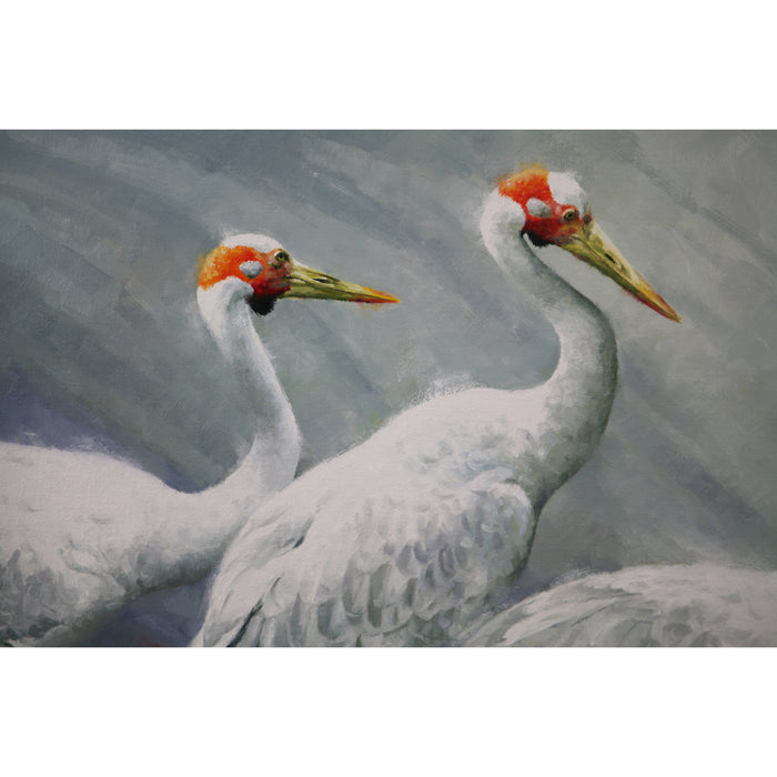 Brolgallivanting ~ Print