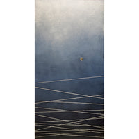 Catch A Falling Star ~ Enhanced Edition