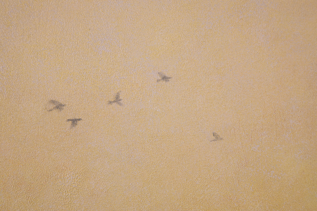 Above ~ 24" x 24" ~ Trailside Galleries