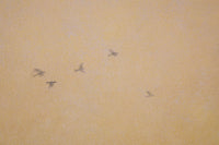 Above ~ 24" x 24" ~ Trailside Galleries