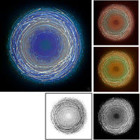 Nest 2 Variations ~ Print