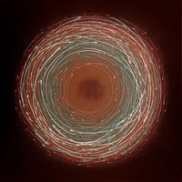 Nest 2 Variations ~ Print