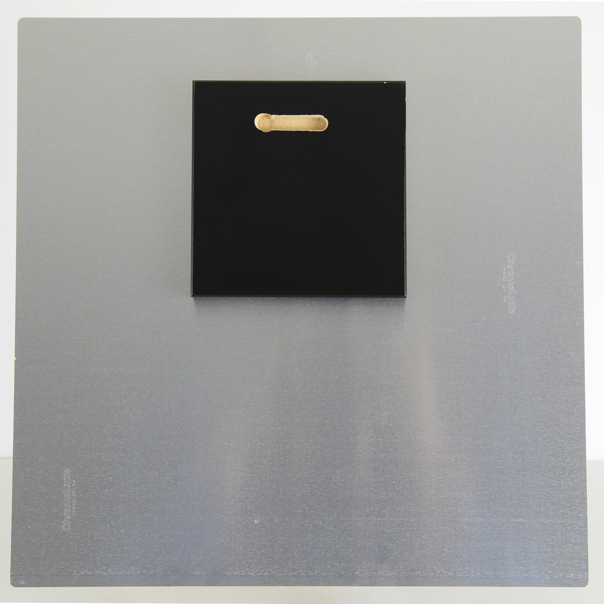 All Dressed Up ~ Petite Print