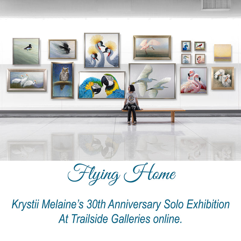 Flying Home ~ 30th anniversary solo exhibition ~ May 12 2022