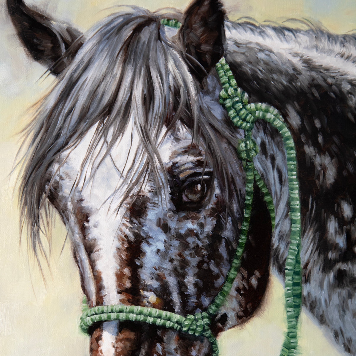 Appaloosa 20"x40" ~ Quest for the West