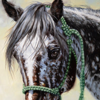 Appaloosa 20"x40" ~ Quest for the West