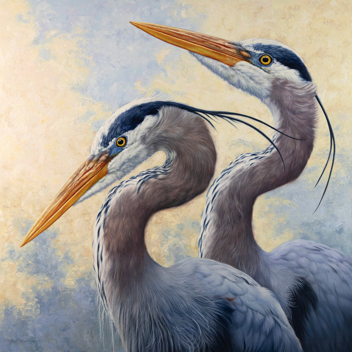 Heron Harmony 36" x 36"~ Quest for the West