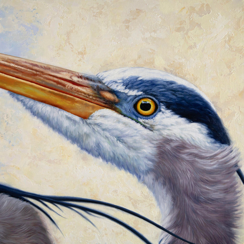 Heron Harmony 36" x 36"~ Quest for the West
