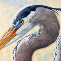 Heron Harmony 36" x 36"~ Quest for the West