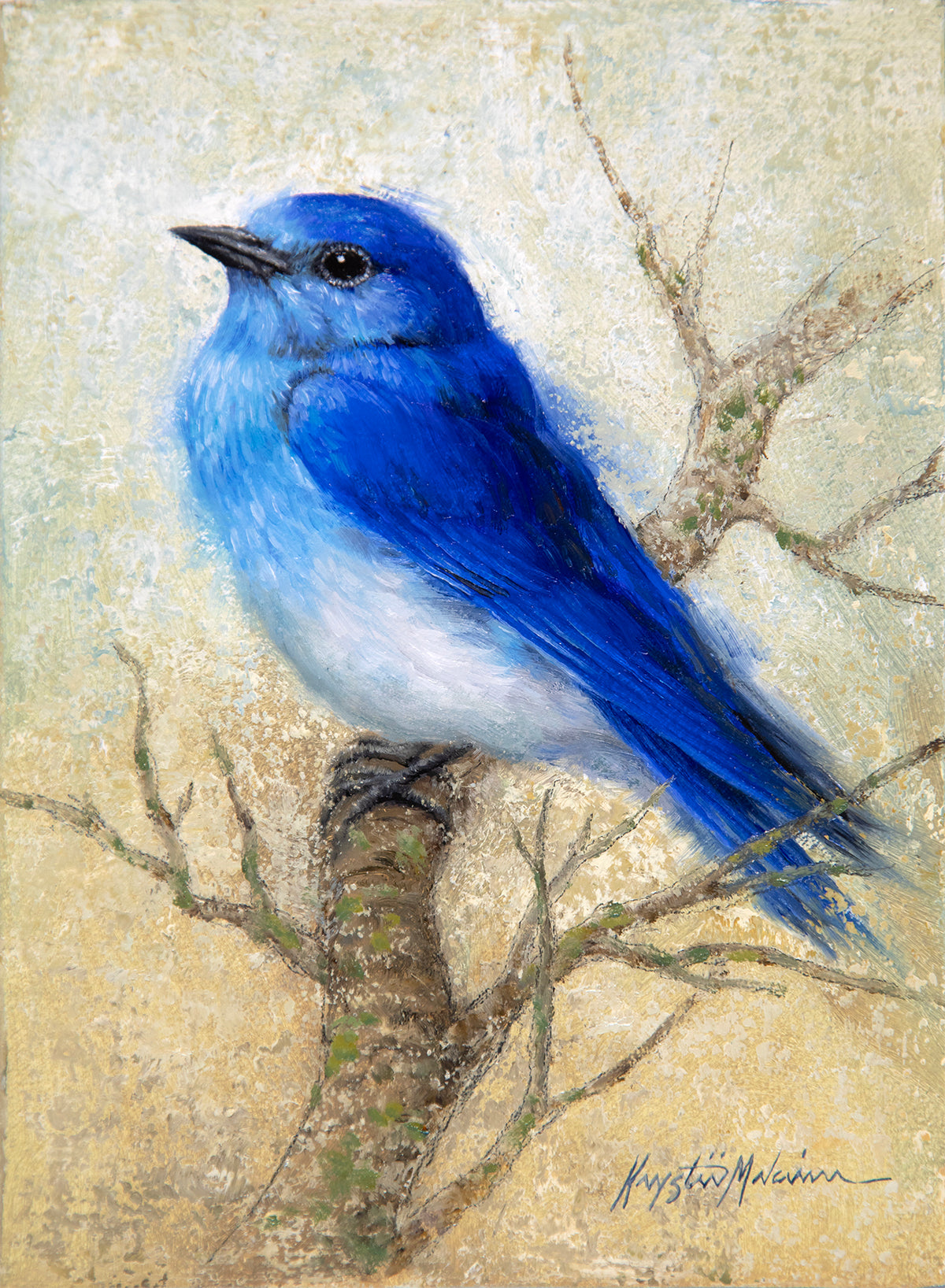 SOLD ~ Mountain Bluebird 8"x6"
