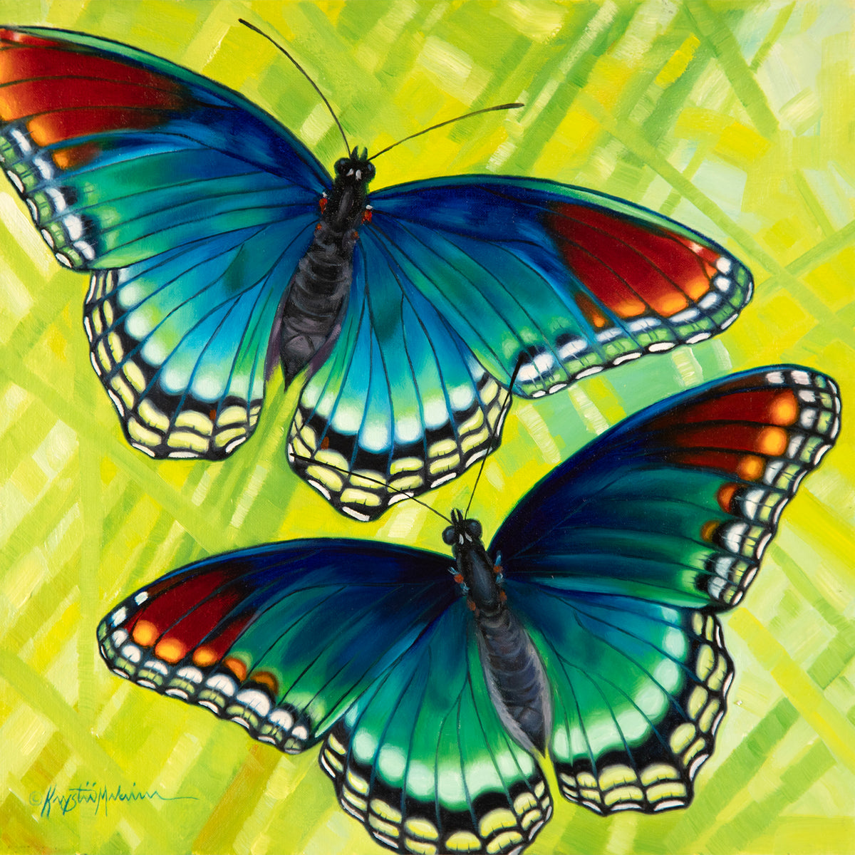 Red-spotted Purple ~ 12"x12" ~ Quest For The West