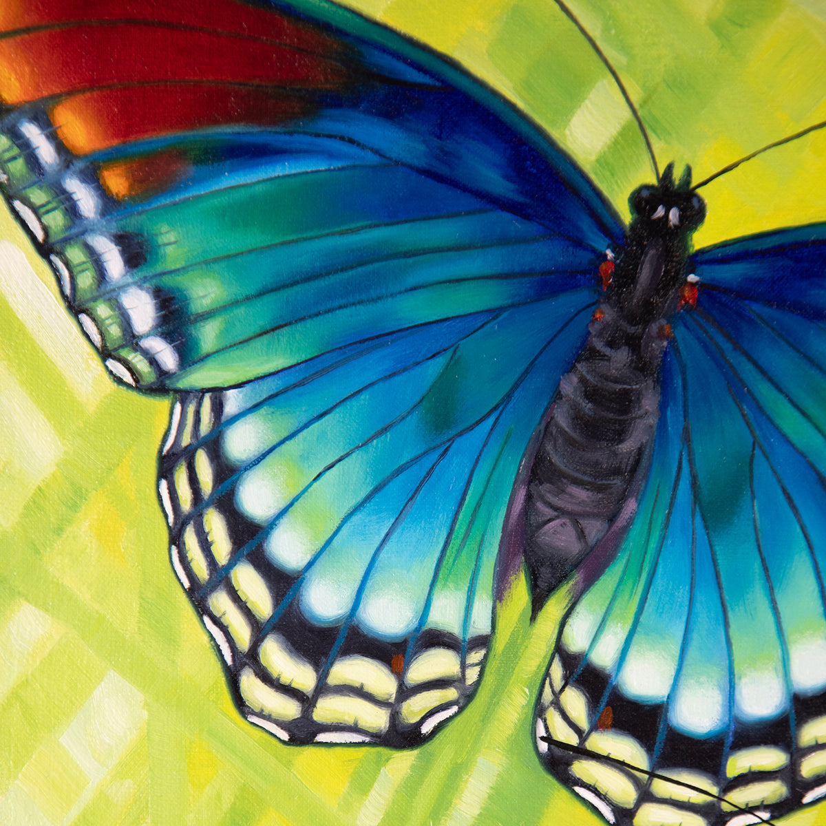 Red-spotted Purple ~ 12"x12" ~ Quest For The West