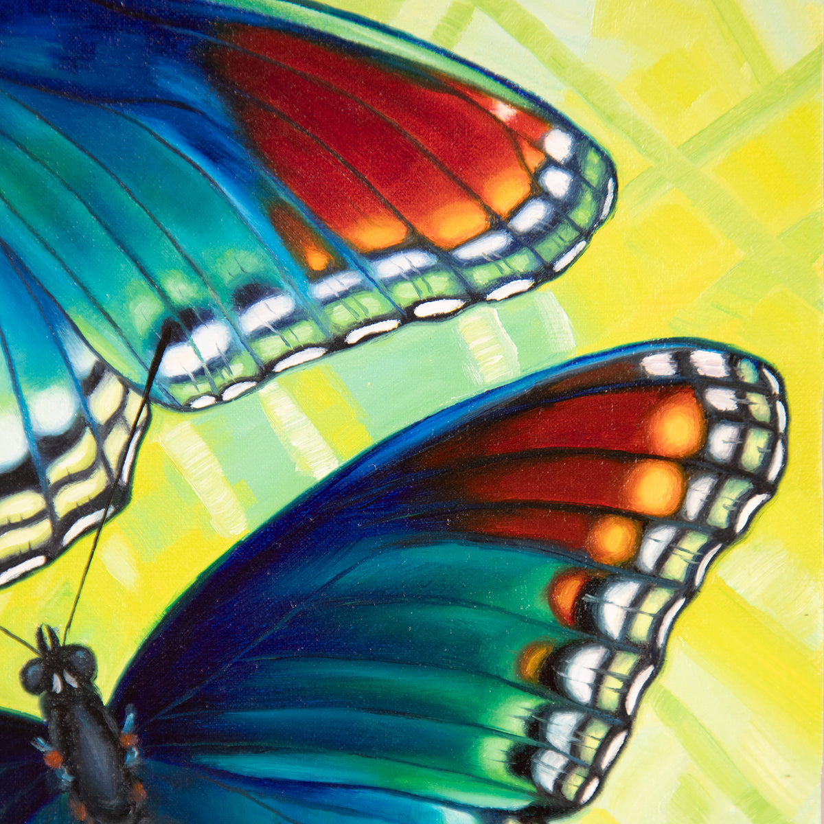 Red-spotted Purple ~ 12"x12" ~ Quest For The West