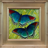 Red-spotted Purple ~ 12"x12" ~ Quest For The West