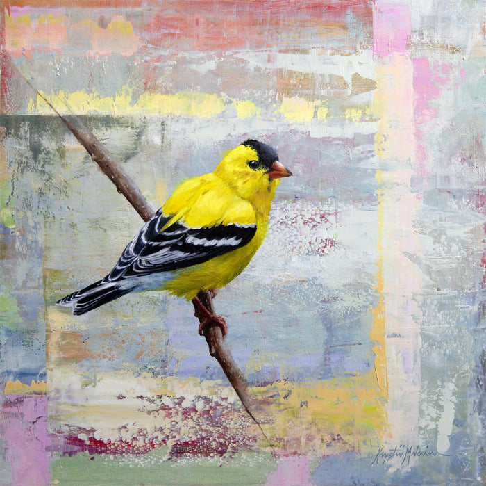 SOLD ~ The Goldfinch 12"x12" ~ Buffalo Bill Art Show