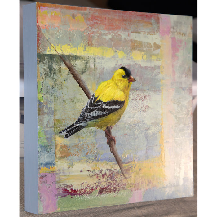 SOLD ~ The Goldfinch 12"x12" ~ Buffalo Bill Art Show