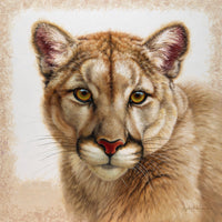 Unseen ~ 24"x24" ~ Quest For The West