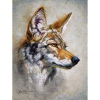 Wily 12x9 ~ Settlers West Gallery