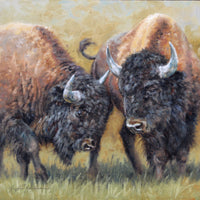 Buffalo Boys ~ 12" x 12"