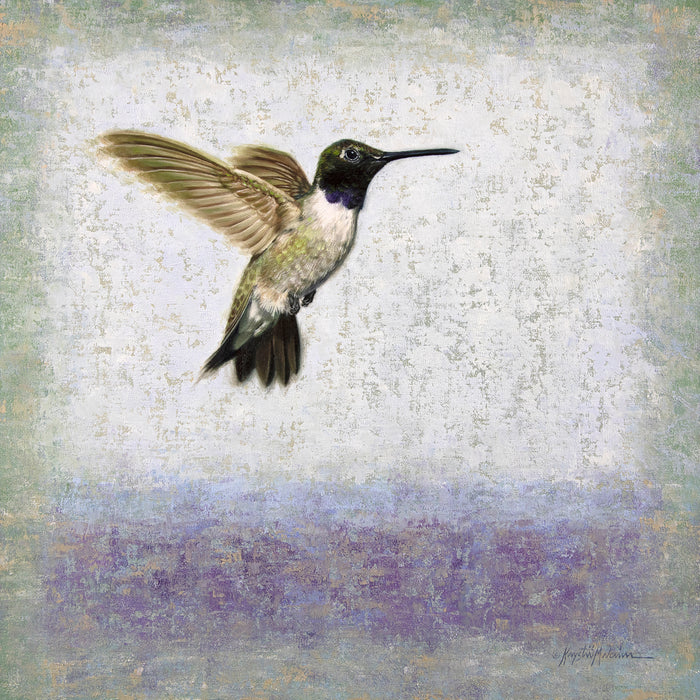 SOLD ~ Hover
