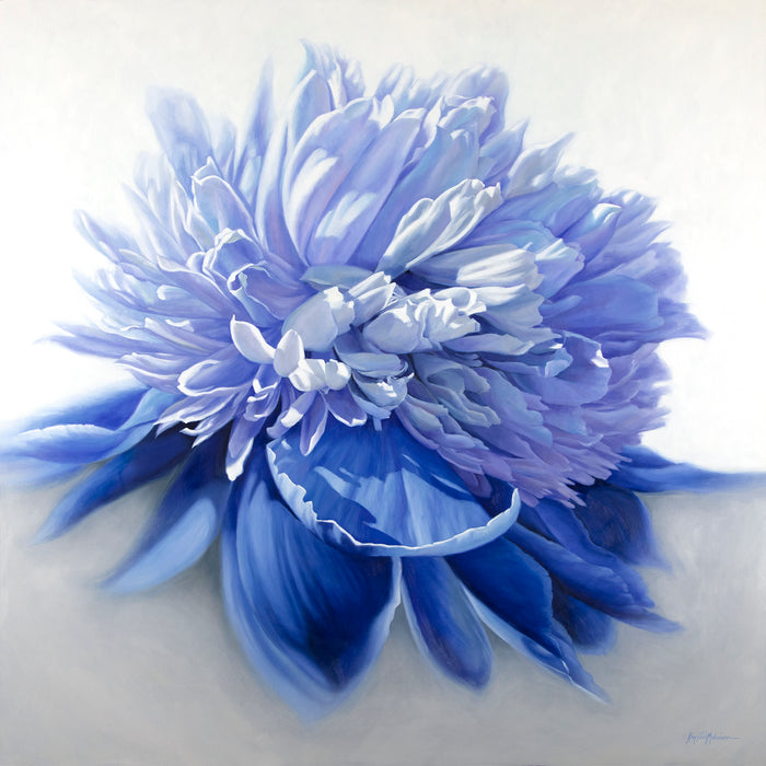 Big Blue Peony ~ 36"x36" ~ The Marshall Gallery