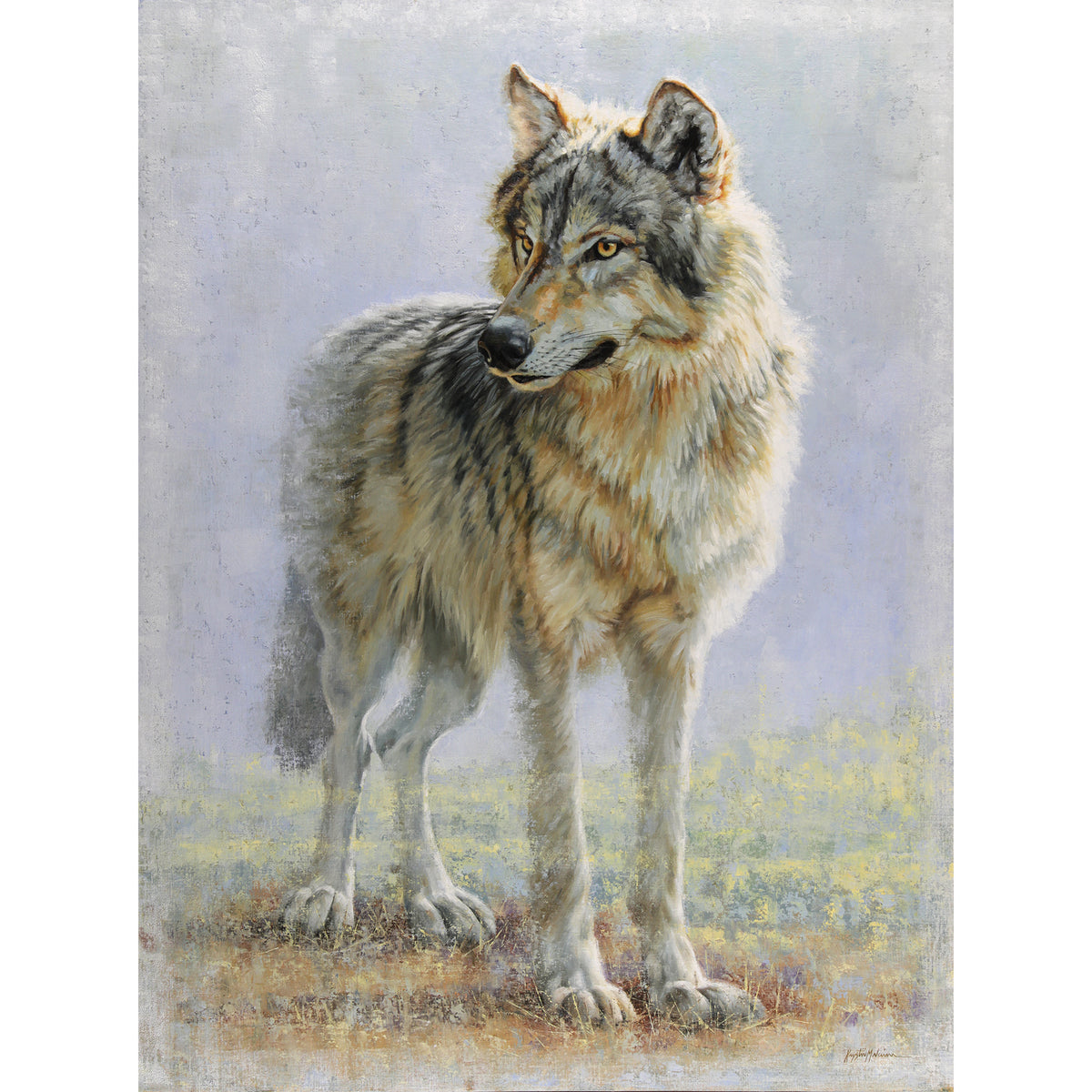 Omahkapi'si - Timber Wolf (Blackfoot) ~ Print