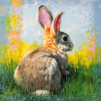 SOLD ~ Sun Bun~ 10"x10" ~ Quest for the West